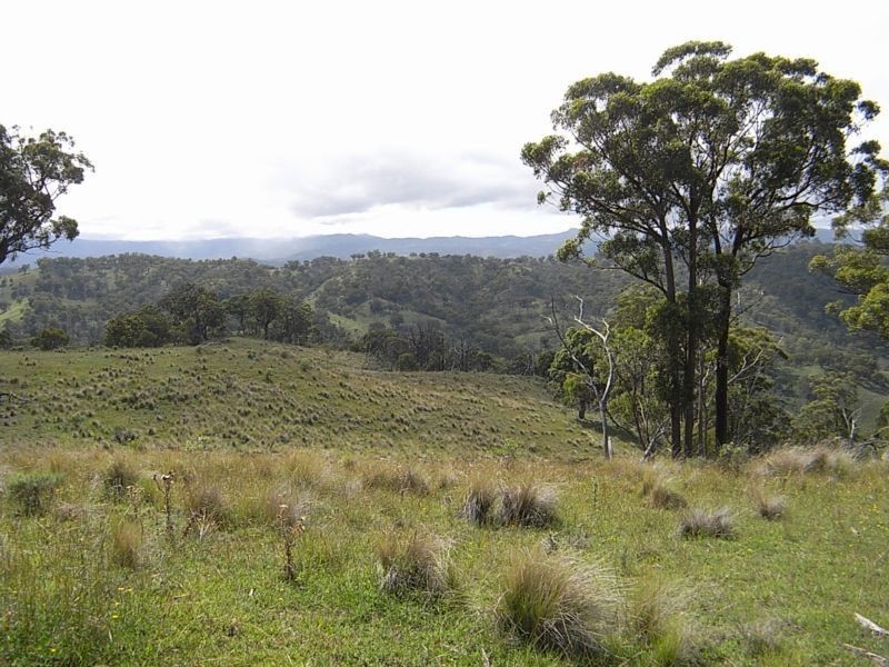 Wheelihans Creek, Timor Road, Timor NSW 2338