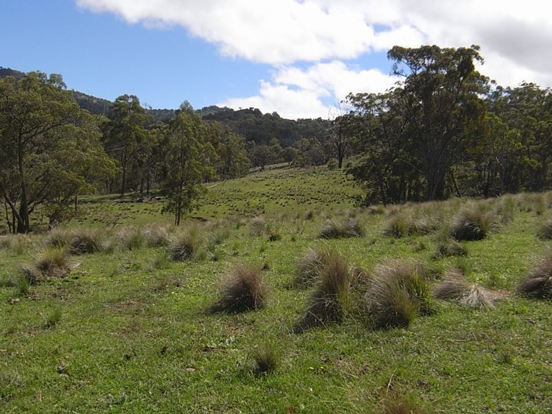 Wheelihans Creek, Timor Road, Timor NSW 2338