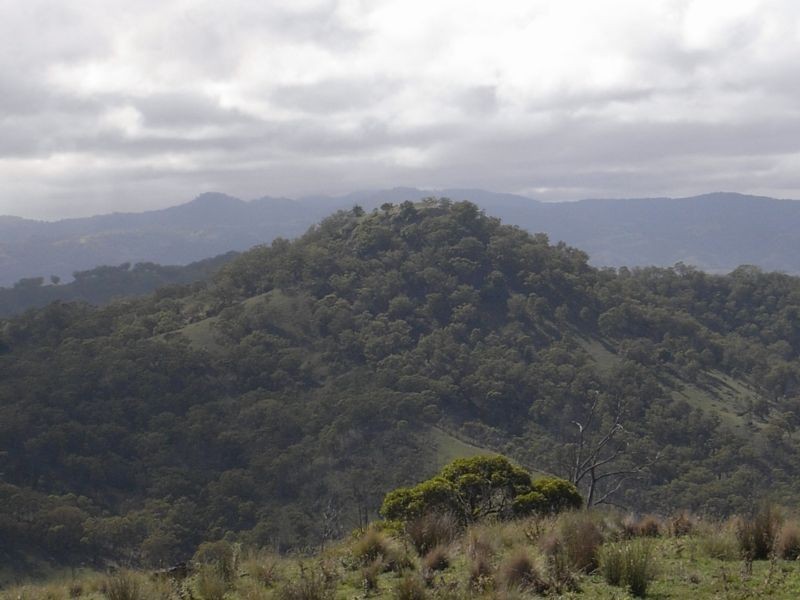 Wheelihans Creek, Timor Road, Timor NSW 2338
