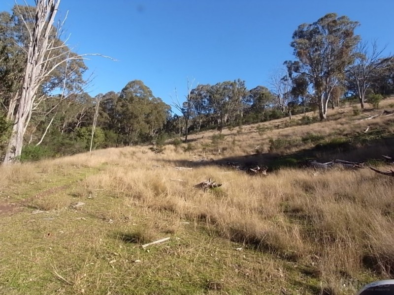 Wheelihans Creek, Timor Road, Timor NSW 2338