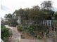 15 Flanders Avenue, Muswellbrook NSW 2333