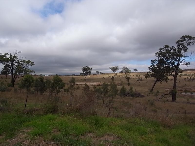 17 Mahogany Avenue, Muswellbrook NSW 2333