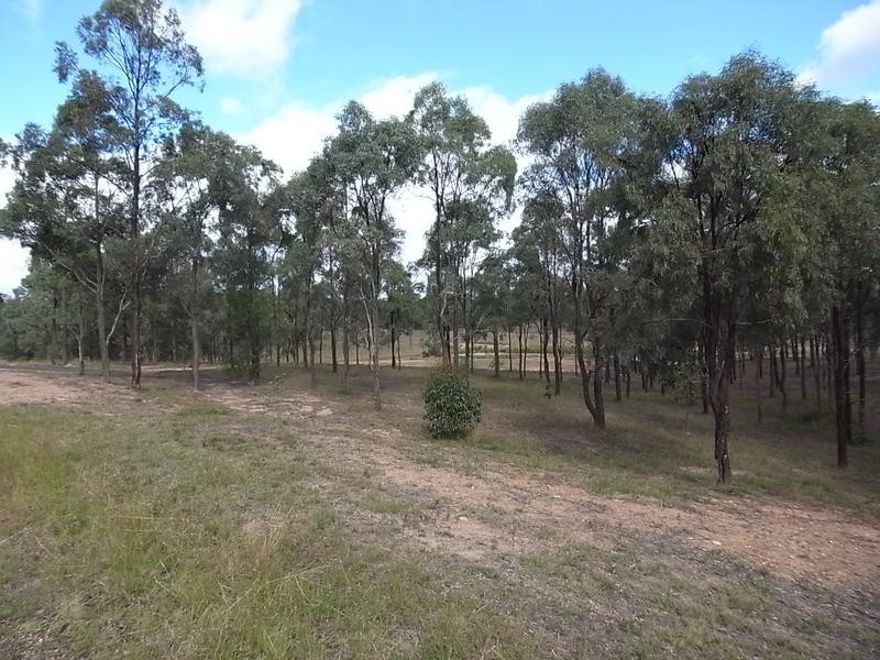 Lot 211 Rosella Close, Muswellbrook NSW 2333