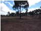 Lot 211 Rosella Close, Muswellbrook NSW 2333