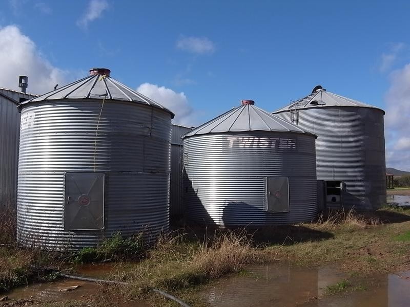 2237 Golden Highway, Jerrys Plains NSW 2330