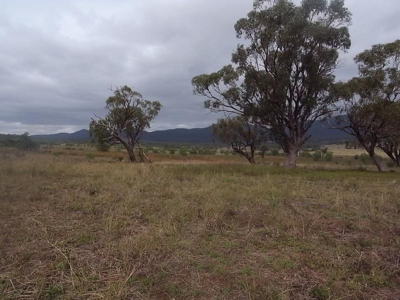 2237 Golden Highway, Jerrys Plains NSW 2330