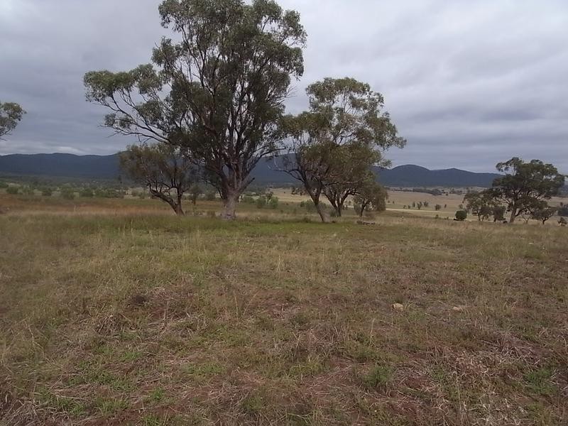 2237 Golden Highway, Jerrys Plains NSW 2330