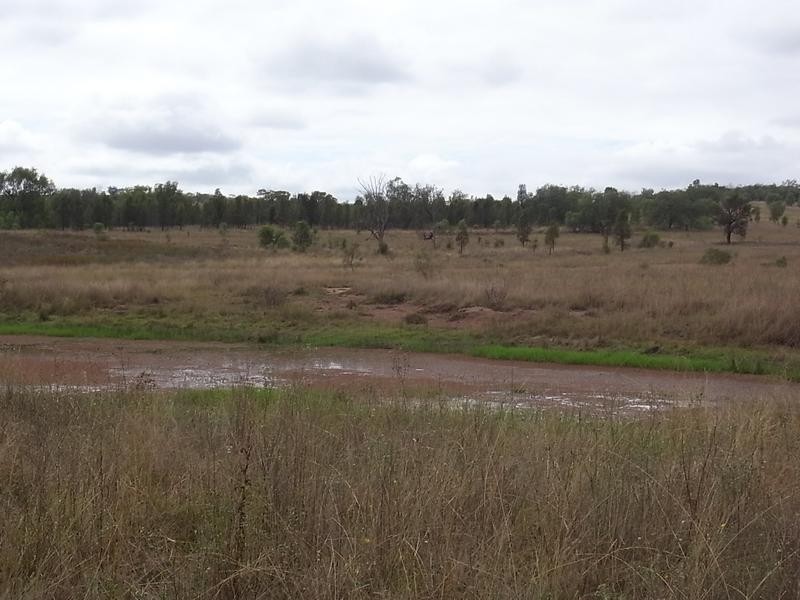 2237 Golden Highway, Jerrys Plains NSW 2330