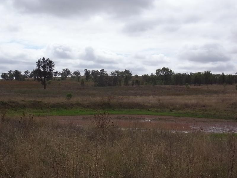 2237 Golden Highway, Jerrys Plains NSW 2330