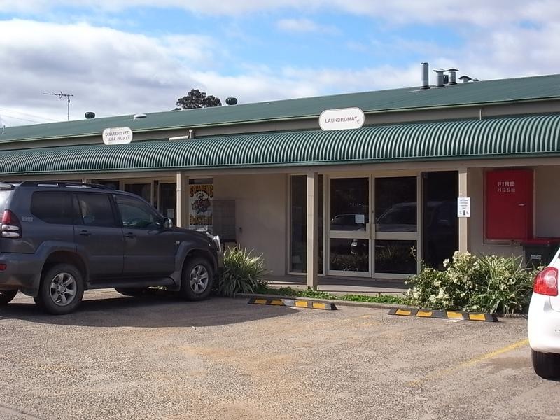 6 Market Lane, Muswellbrook NSW 2333