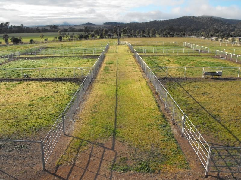 1450-1451 Bylong Valley Way, Baerami NSW 2333