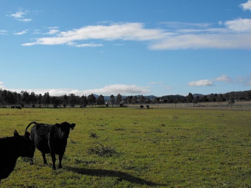 1450-1451 Bylong Valley Way, Baerami NSW 2333