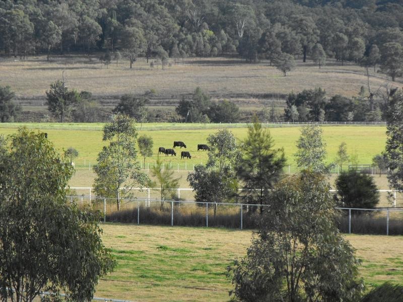 1450-1451 Bylong Valley Way, Baerami NSW 2333