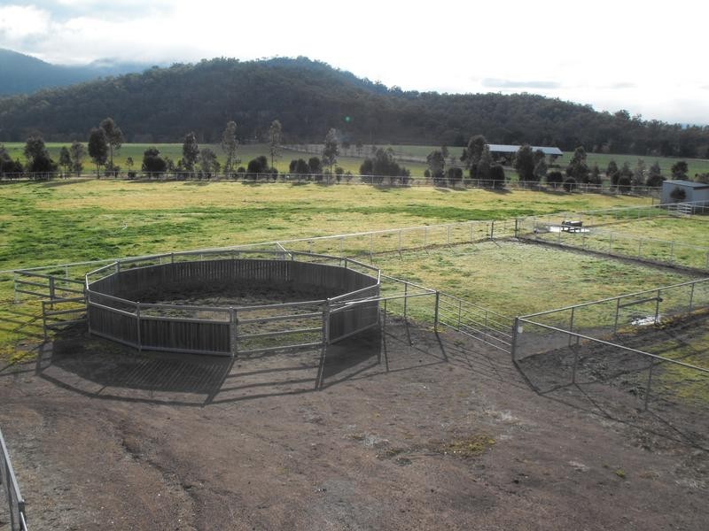 1450-1451 Bylong Valley Way, Baerami NSW 2333