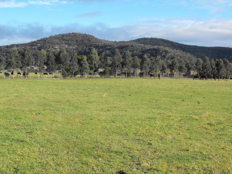 1450-1451 Bylong Valley Way, Baerami NSW 2333