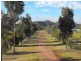 1450-1451 Bylong Valley Way, Baerami NSW 2333