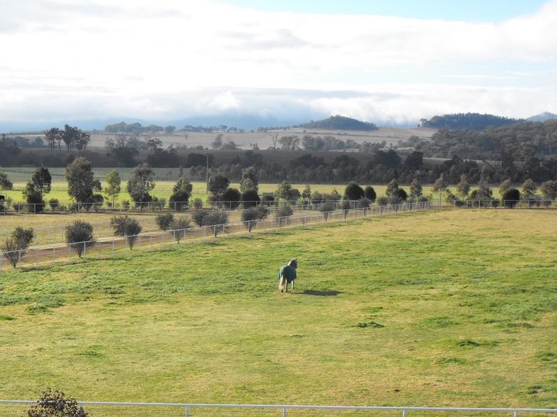 1450-1451 Bylong Valley Way, Baerami NSW 2333