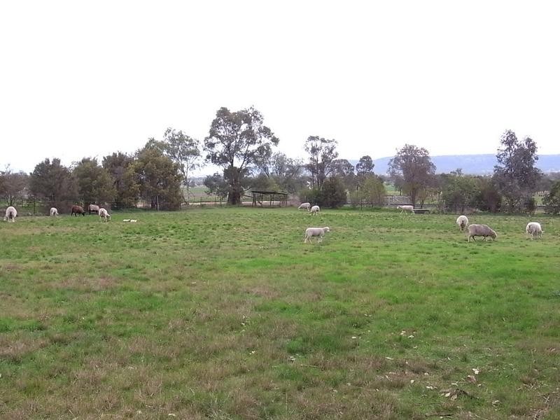 1910 Turanville Road, Scone NSW 2337