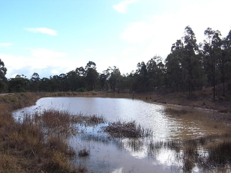Lot 214,  Woodland Ridge Estate, Muswellbrook NSW 2333