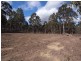 Lot 214,  Woodland Ridge Estate, Muswellbrook NSW 2333