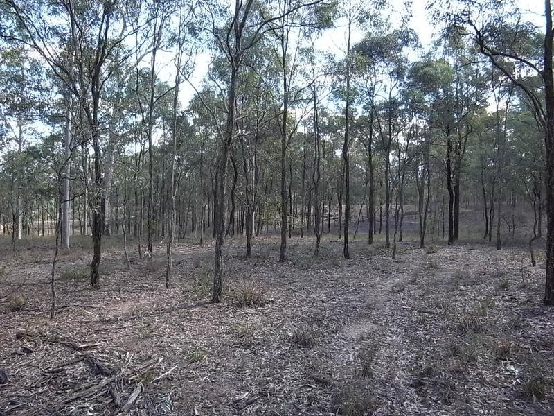 Lot 214,  Woodland Ridge Estate, Muswellbrook NSW 2333