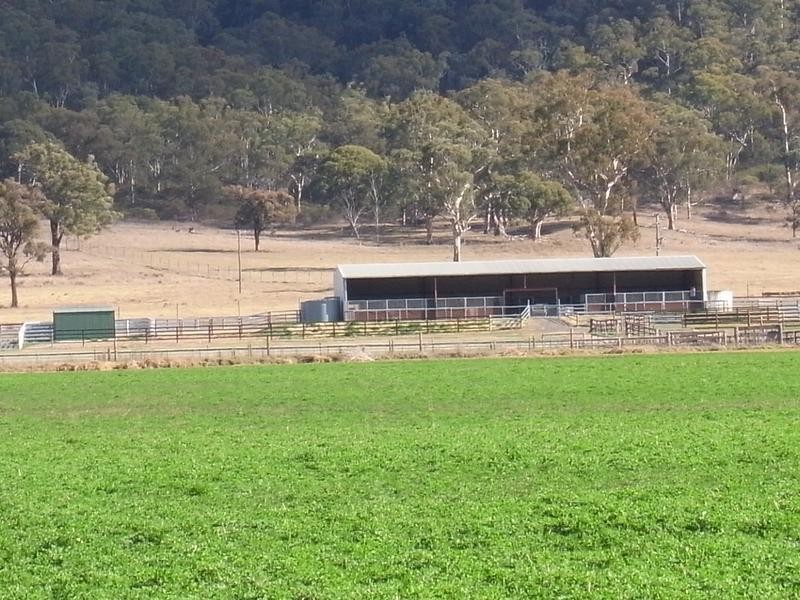 960 Baerami Creek Road, Baerami NSW 2333