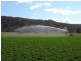 960 Baerami Creek Road, Baerami NSW 2333