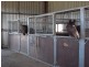 960 Baerami Creek Road, Baerami NSW 2333