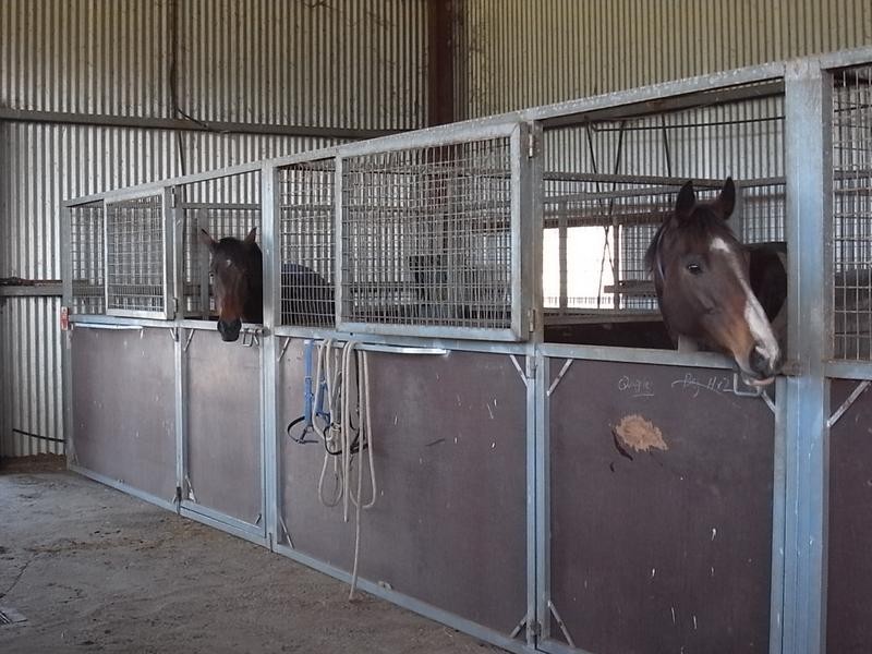960 Baerami Creek Road, Baerami NSW 2333