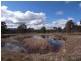 Lot 420,  Woodland Ridge Estate, Muswellbrook NSW 2333