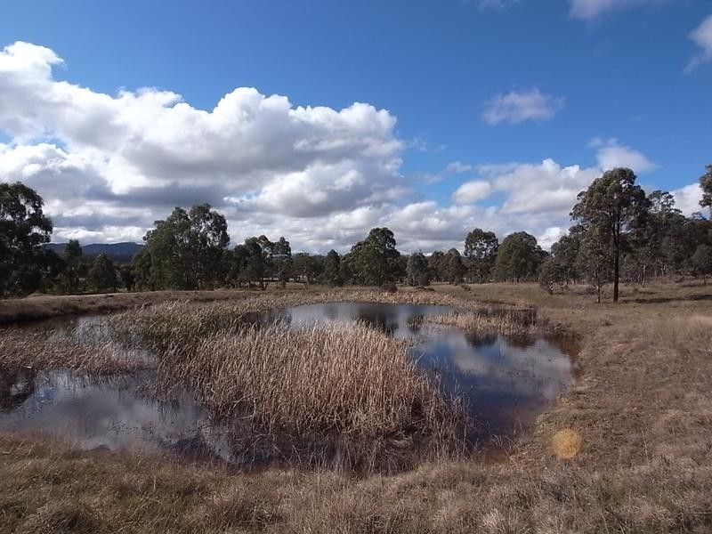 Lot 420,  Woodland Ridge Estate, Muswellbrook NSW 2333