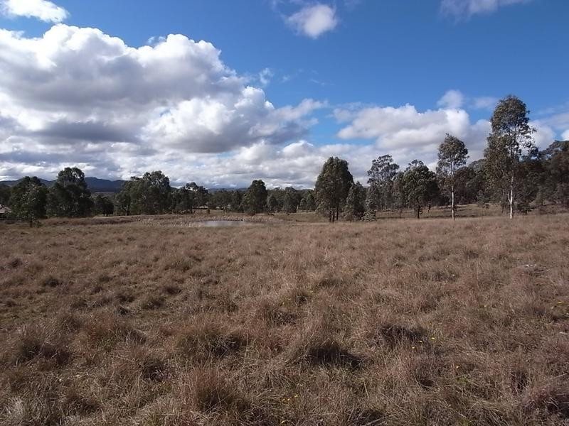 Lot 420,  Woodland Ridge Estate, Muswellbrook NSW 2333