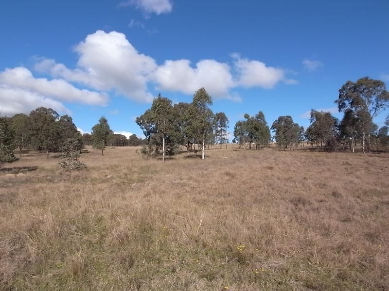 Lot 420,  Woodland Ridge Estate, Muswellbrook NSW 2333