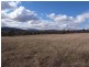 Lot 420,  Woodland Ridge Estate, Muswellbrook NSW 2333