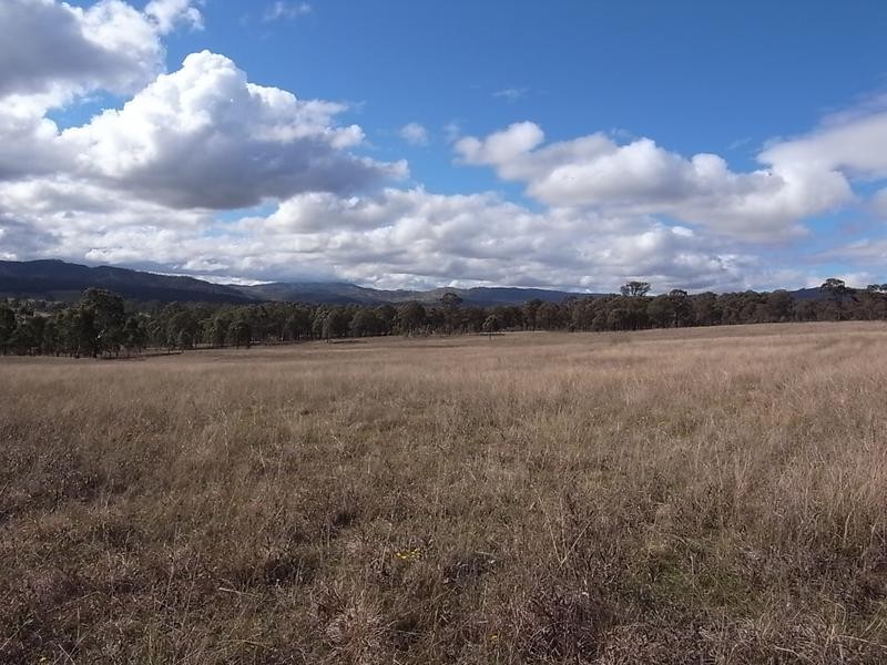 Lot 420,  Woodland Ridge Estate, Muswellbrook NSW 2333