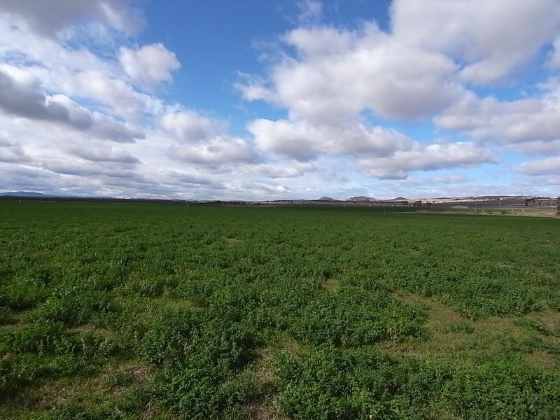 1490 Denman Road, Muswellbrook NSW 2333