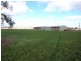 1490 Denman Road, Muswellbrook NSW 2333