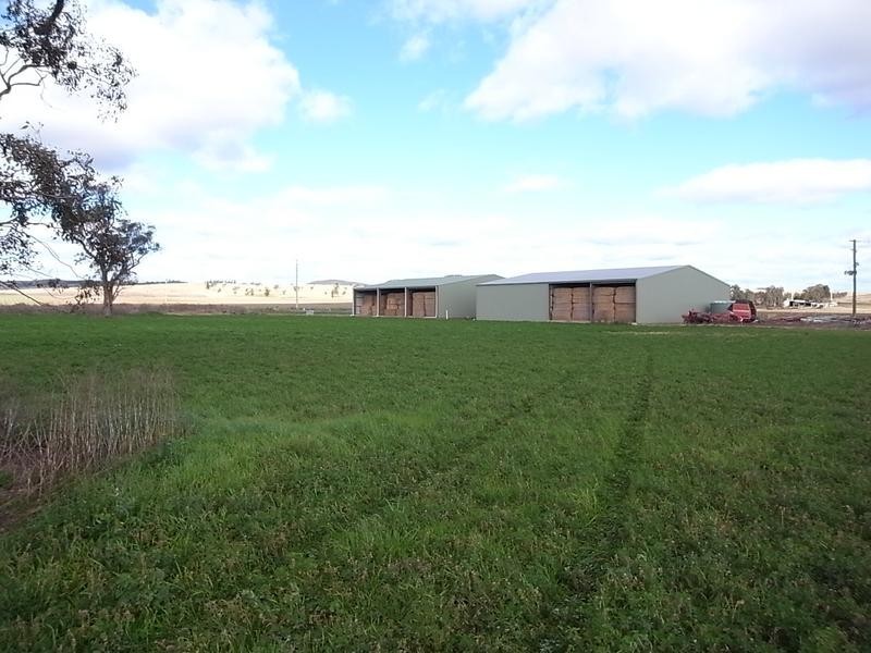 1490 Denman Road, Muswellbrook NSW 2333