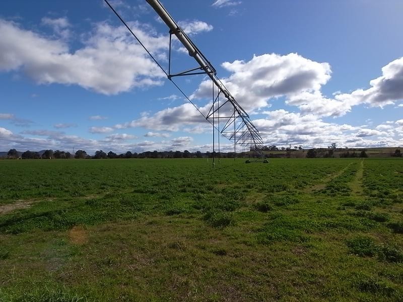 1490 Denman Road, Muswellbrook NSW 2333