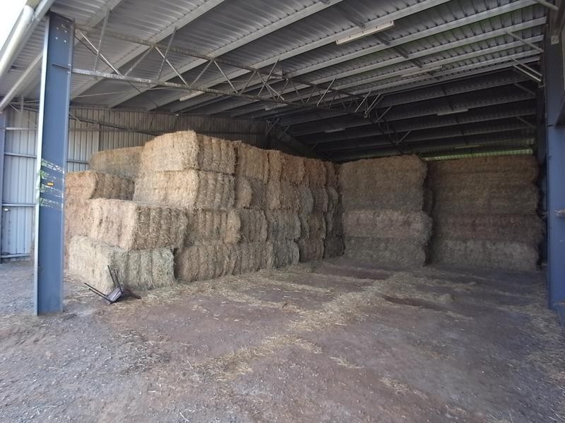 1490 Denman Road, Muswellbrook NSW 2333