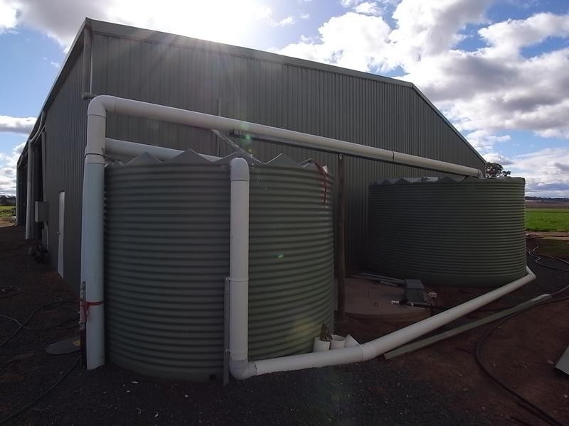 1490 Denman Road, Muswellbrook NSW 2333