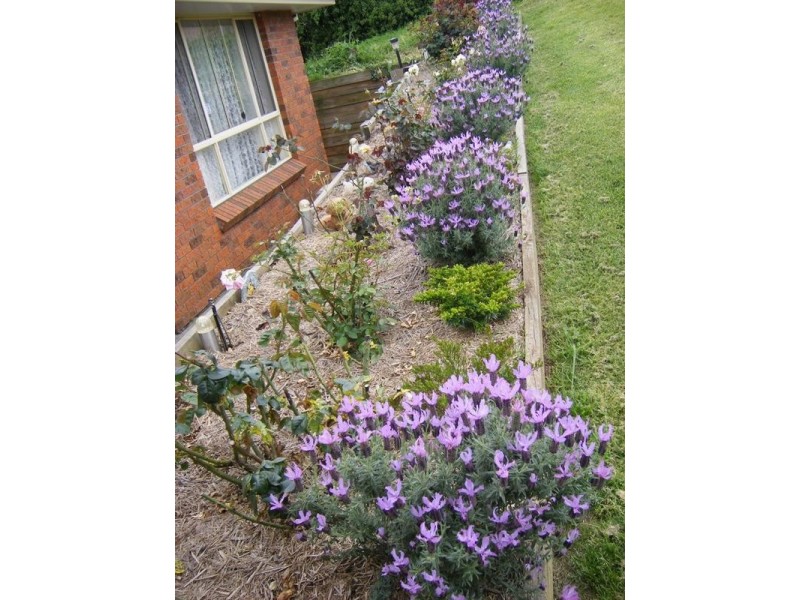 6 Goruk Close, Muswellbrook NSW 2333