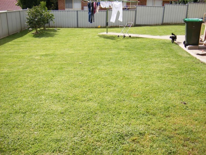 6 Goruk Close, Muswellbrook NSW 2333