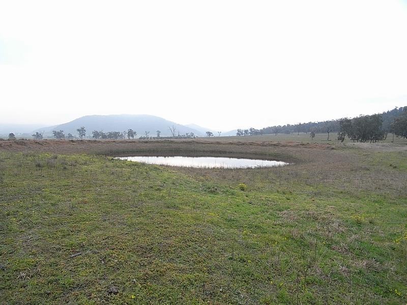 838 Ridgeland Road, Wybong NSW 2333