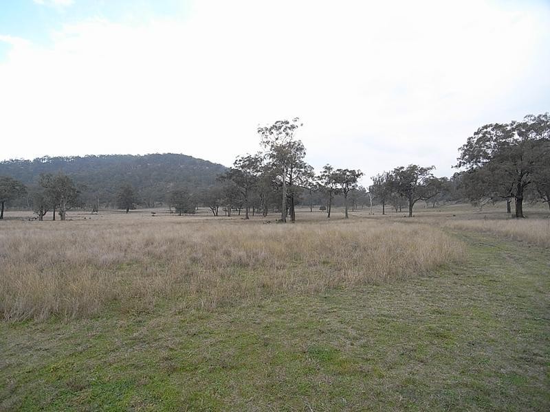 838 Ridgeland Road, Wybong NSW 2333