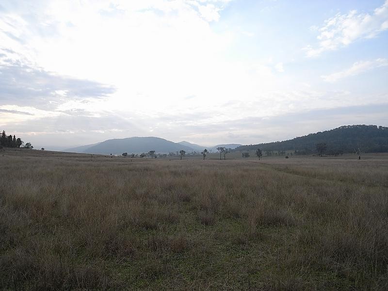 838 Ridgeland Road, Wybong NSW 2333