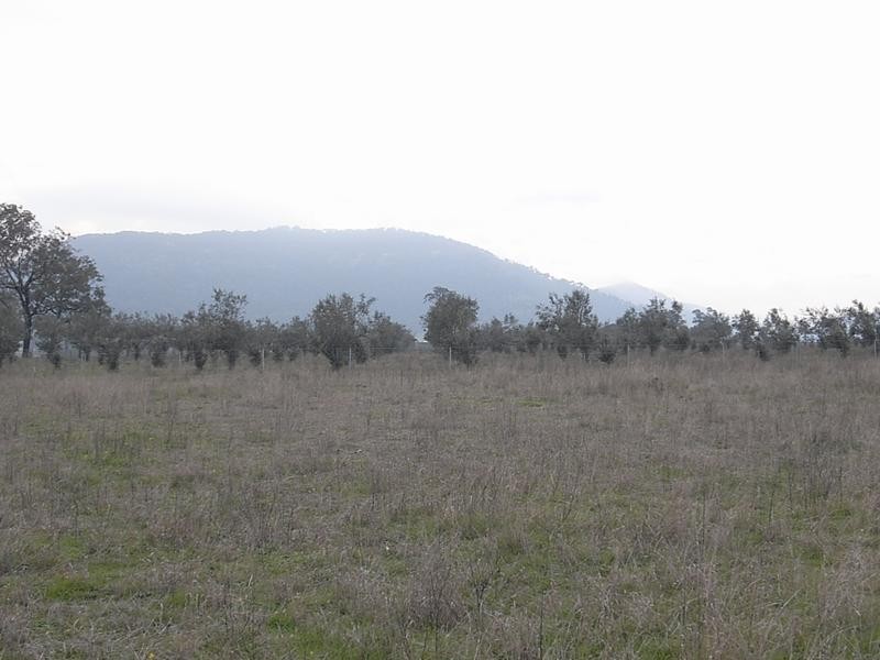 838 Ridgeland Road, Wybong NSW 2333