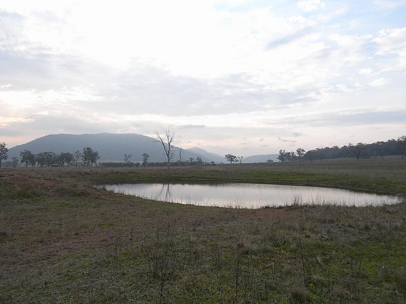 838 Ridgeland Road, Wybong NSW 2333