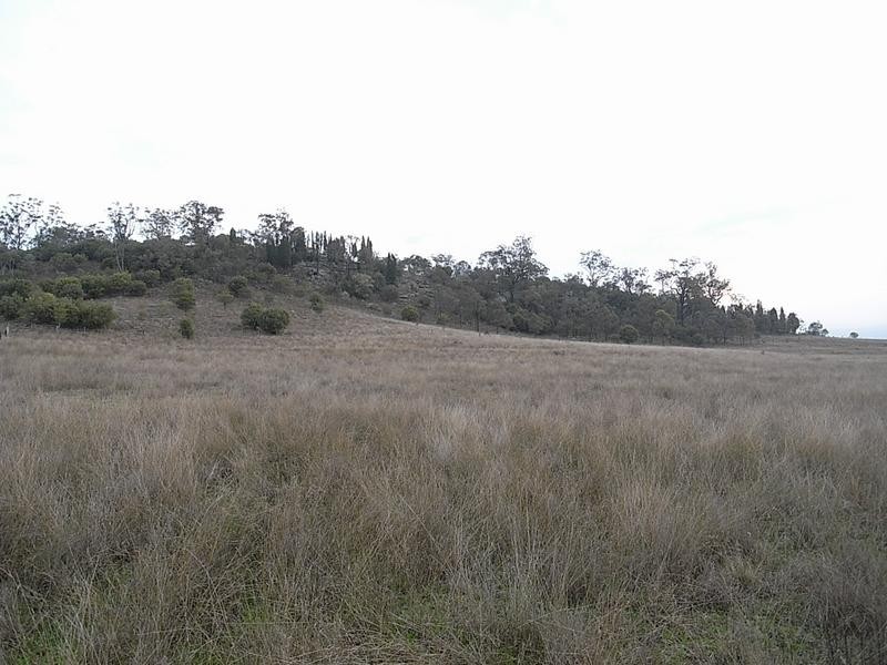 838 Ridgeland Road, Wybong NSW 2333