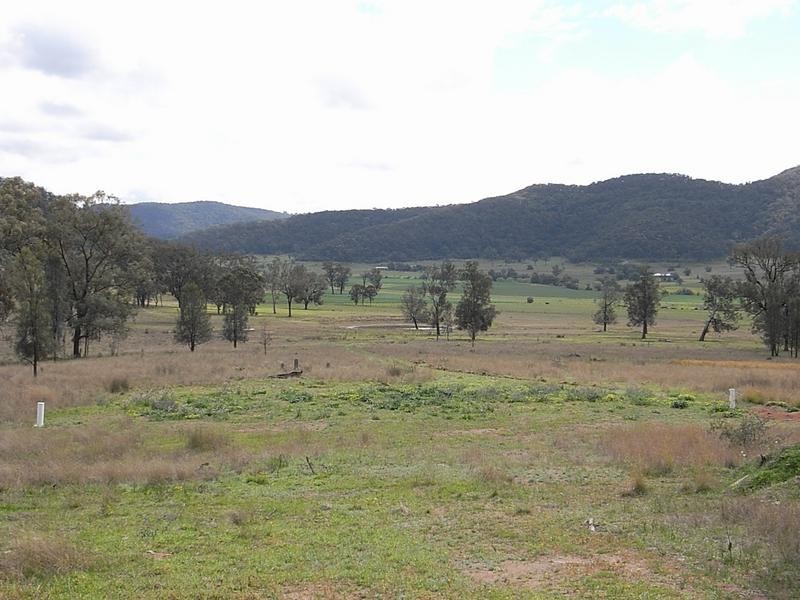 Lot 101,  Yarraman Road, Wybong NSW 2333